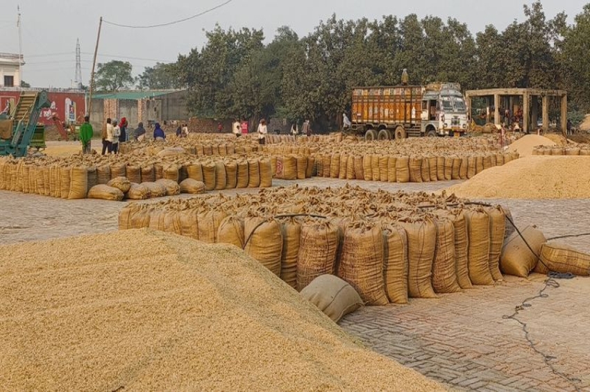 ਭਲਕ ਤੋਂ ਝੋਨੇ ਦੀ ਖੁੱਲ੍ਹੀ ਖਰੀਦ ਬੰਦ